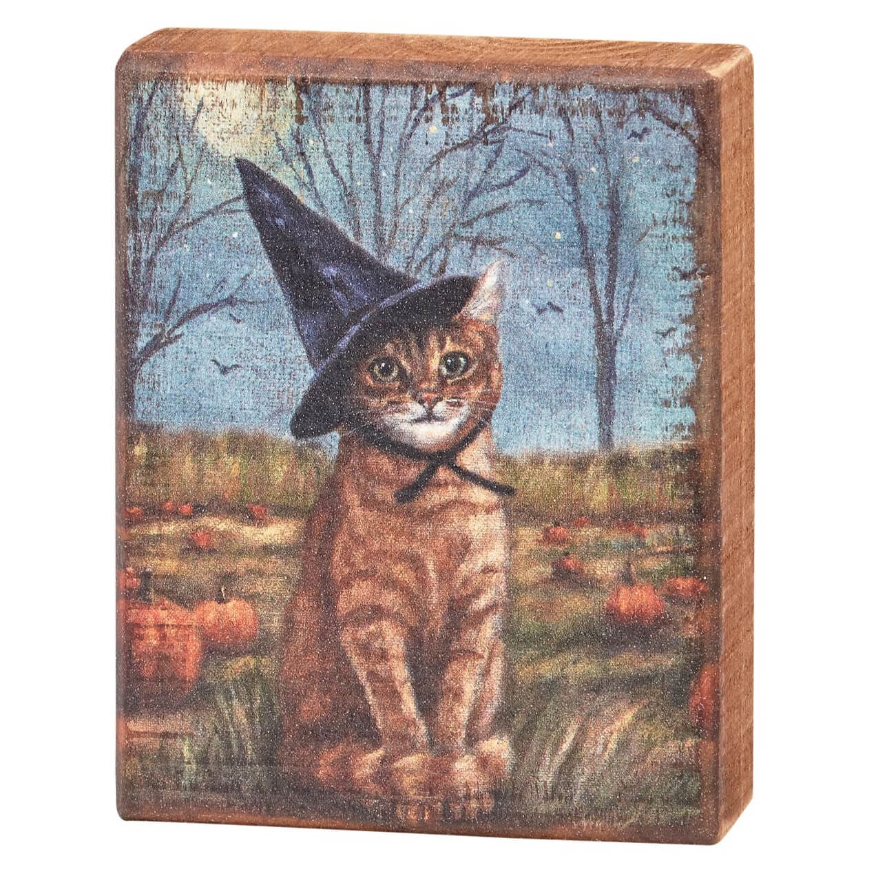 Cat As A Witch Block Sign - Halloween