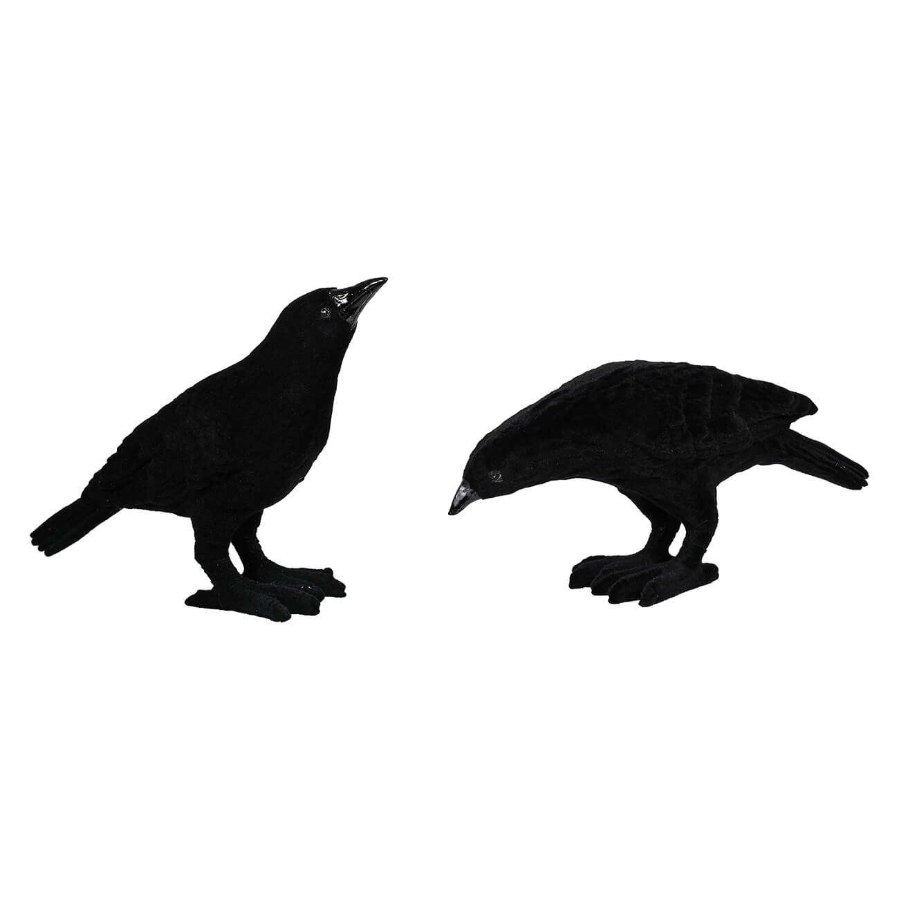 Black Velvet Flocked Crows Set/2