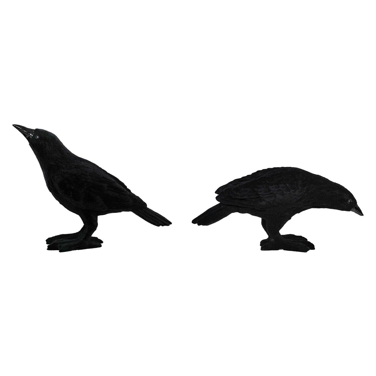 Black Velvet Flocked Crows Set/2